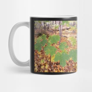 Autumn leaf Mug